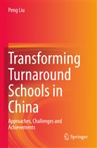 Peng Liu - Transforming Turnaround Schools in China