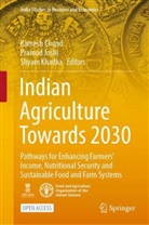 Ramesh Chand, Pramod Joshi, Shyam Khadka - Indian Agriculture Towards 2030