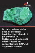 Jerry MWAMBI TSHIMONA - Ottimizzazione della dose di soluzioni basiche controllando il pH durante la flottazione di minerali misti trattati nel concentratore KAPULO