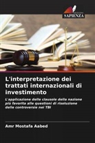 Amr Mostafa Aabed - L'interpretazione dei trattati internazionali di investimento