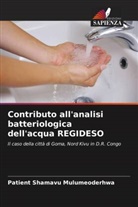 Patient Shamavu Mulumeoderhwa - Contributo all'analisi batteriologica dell'acqua REGIDESO