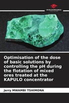 Jerry Mwambi Tshimona - Optimisation of the dose of basic solutions by controlling the pH during the flotation of mixed ores treated at the KAPULO concentrator