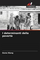 Dame Niang - I determinanti della povertà