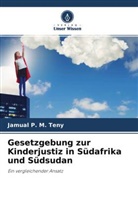 Jamual P M Teny, Jamual P. M. Teny - Gesetzgebung zur Kinderjustiz in Südafrika und Südsudan