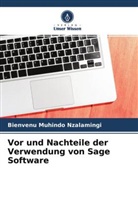 Bienvenu Muhindo Nzalamingi - Vor und Nachteile der Verwendung von Sage Software