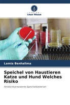 Lamia Benhalima - Speichel von Haustieren Katze und Hund Welches Risiko