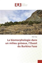 Malo Yaya - La biomorphologie dans un milieu gréseux, l'Ouest du Burkina Faso