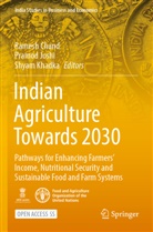 Ramesh Chand, Pramod Joshi, Shyam Khadka - Indian Agriculture Towards 2030
