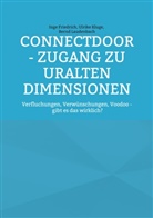 Inge Friedrich, Ulrike Kluge, Bernd Laudenbach - ConnectDoor - Zugang zu uralten Dimensionen