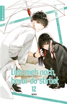 Sora - Lieb mich noch, bevor du stirbst 12