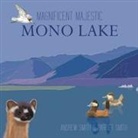 Roni Alexander, Andrew Smith, Andrew T. Smith, Harriet Smith - Magnificent Majestic Mono Lake