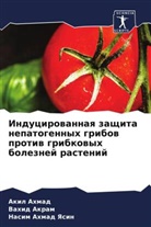 Akil Ahmad, Vahid Akram, Nasim Ahmad Yasin - Inducirowannaq zaschita nepatogennyh gribow protiw gribkowyh boleznej rastenij