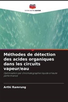 Arthi Ramrung - Méthodes de détection des acides organiques dans les circuits vapeur/eau