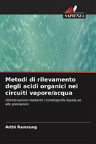 Arthi Ramrung - Metodi di rilevamento degli acidi organici nei circuiti vapore/acqua