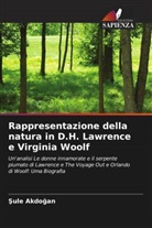 ¿Ule Akdo¿an, Sule Akdogan - Rappresentazione della natura in D.H. Lawrence e Virginia Woolf