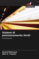 Nitin K. Tripathi, Hamid Mehmood - Sistemi di posizionamento ibridi