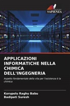 Korupolu Raghu Babu, Badipati Suresh - APPLICAZIONI INFORMATICHE NELLA CHIMICA DELL'INGEGNERIA
