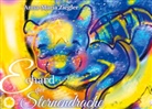 Anna-Maria Ziegler - Echard der Sternendrache