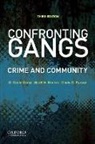 G. David Curry, G. David/ Decker Curry, Scott H. Decker, David C. Pyrooz - Confronting Gangs