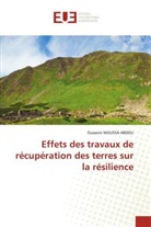 Ousseini MOUSSA ABDOU - Effets des travaux de récupération des terres sur la résilience