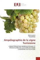 Myriam Lamine, Ahmed Mliki, Néjia Zoghlami - Ampélographie de la vigne Tunisienne