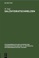 H. -H. Emons, H.-H. Emons, Th. Fanghänel, R. Naumann, W. Voigt - Salzhydratschmelzen