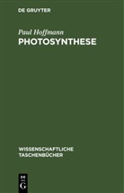 Paul Hoffmann - Photosynthese