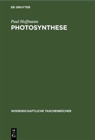 Paul Hoffmann - Photosynthese