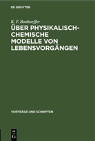 K. F. Bonhoeffer - Über physikalisch-chemische Modelle von Lebensvorgängen