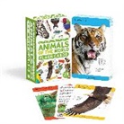 DK, Phonic Books - Our World in Pictures Animals of the World Flash Cards