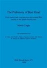Martin Tingle - The Prehistory of Beer Head