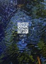 Brady Ciel Marks, Mark Timmings - Wetland Project