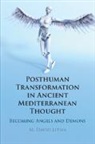 M David Litwa, M. David Litwa, M. David (Australian Catholic University Litwa, Litwa M. David - Posthuman Transformation in Ancient Mediterranean Thought