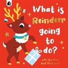 Carly Madden, Carly Madden, Caroline Dall'Ava - What is Reindeer Going to do?: Volume 6