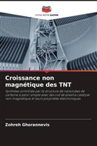 Zohreh Ghorannevis - Croissance non magnétique des TNT