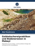 Abel Nsabimana - Goldwäschereipraktiken und Bodenerosion in Mabayi