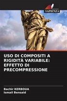 Ismail Bensaid, Bachir Kerboua - USO DI COMPOSITI A RIGIDITÀ VARIABILE: EFFETTO DI PRECOMPRESSIONE
