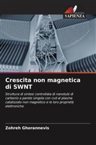Zohreh Ghorannevis - Crescita non magnetica di SWNT