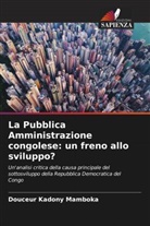 Douceur Kadony Mamboka - La Pubblica Amministrazione congolese: un freno allo sviluppo?