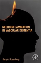 Gary Rosenberg, Gary (Professor of Neurology and Director Rosenberg, Rosenberg Gary - Neuroinflammation in Vascular Dementia