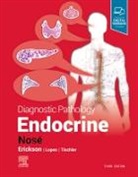 Vania Nose, Vania Nosé - Diagnostic Pathology: Endocrine
