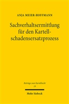 Anja Meier-Hoffmann - Sachverhaltsermittlung für den Kartellschadensersatzprozess