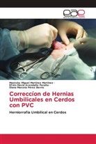 Efrén David Avendaño Peralta, Mastoby Miguel Martinez Martinez, Diana Marcela Pérez Berrio - Correccíon de Hernias Umbilicales en Cerdos con PVC
