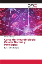 Orlando J. Castejón - Curso der Neurobiología Celular Normal y Patológica