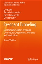 Lev Baskin, Pekka Neittaanmäki, Bori Plamenevskii, Boris Plamenevskii, Oleg Sarafanov - Resonant Tunneling