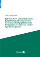 Julian Ramin Andresen - Bedeutung der CT-gesteuerten thorakalen Sympathikolyse und videoassistierten thorakoskopischen Sympathektomie als Therapieoptionen bei schwerer primärer Hyperhidrosis palmaris