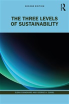 Elena Cavagnaro, Elena Curiel Cavagnaro, Cavagnaro Elena, George H. Curiel, Curiel George H. - Three Levels of Sustainability