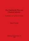 James Conolly - The Çatalhöyük Flint and Obsidian Industry