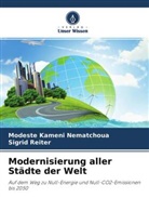 Modeste Kameni Nematchoua, Sigrid Reiter - Modernisierung aller Städte der Welt