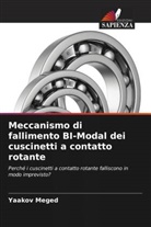 Yaakov Meged - Meccanismo di fallimento BI-Modal dei cuscinetti a contatto rotante